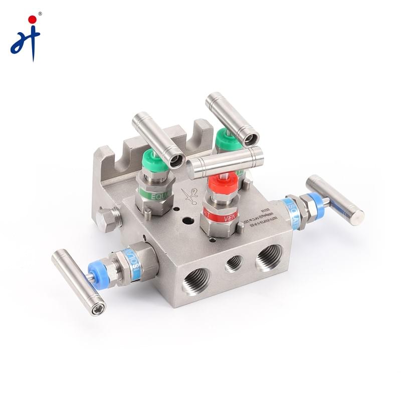 T Type Five Valve Manifold - الصورة 3