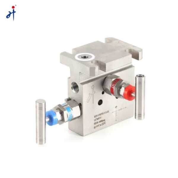 T Type Two Valve Manifold