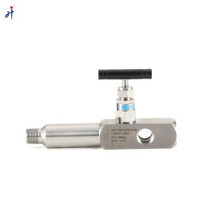 Lagging Extension Body Gauge Valve
