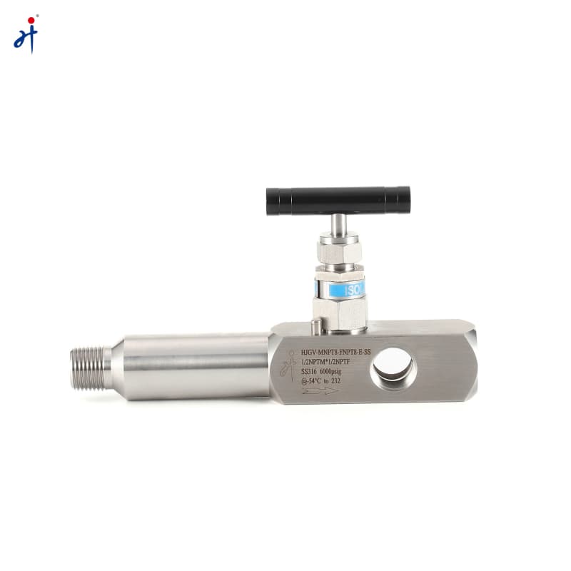 Lagging Extension Body Gauge Valve