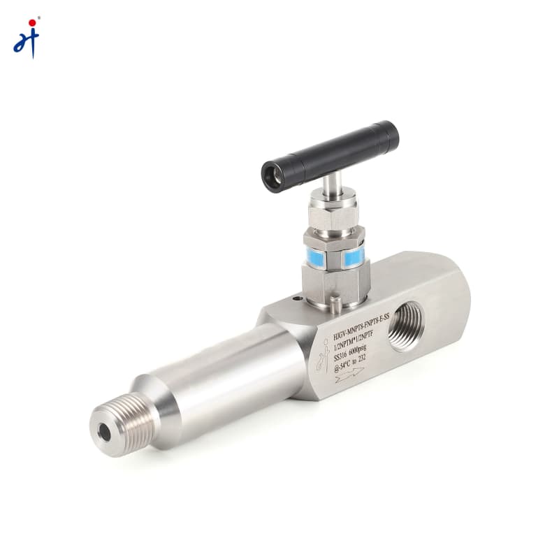 Lagging Extension Body Gauge Valve